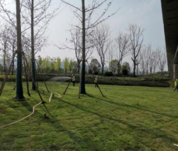 图片4.png 图片4.png