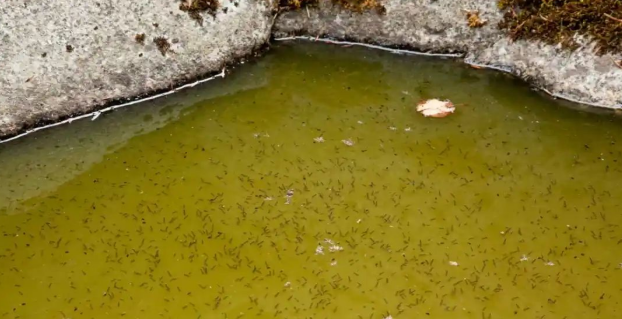 1748266670103894.png image.png