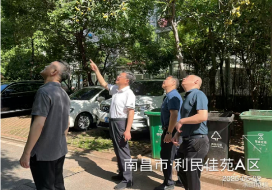 1756352306231997.png image.png